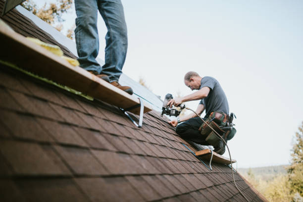 Best Storm Damage Roof Repair  in Dolgeville, NY